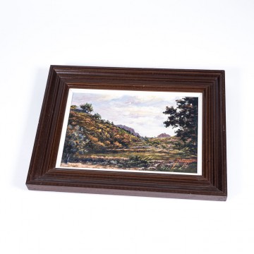 Cuadro Deporativo Oleo Sobre Lienzo Paisaje